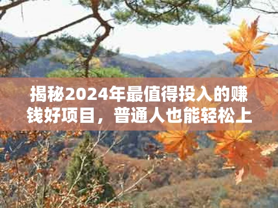 揭秘2024年最值得投入的赚钱好项目，普通人也能轻松上手