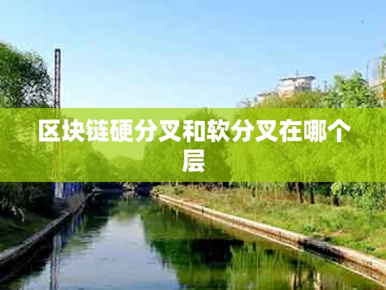 区块链硬分叉和软分叉在哪个层