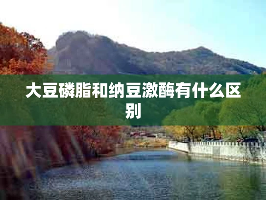 大豆磷脂和纳豆激酶有什么区别