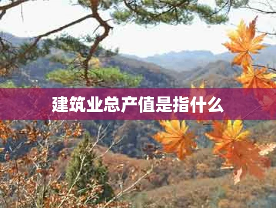 建筑业总产值是指什么