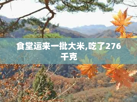食堂运来一批大米,吃了276千克