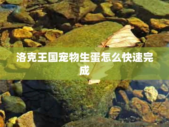 洛克王国宠物生蛋怎么快速完成