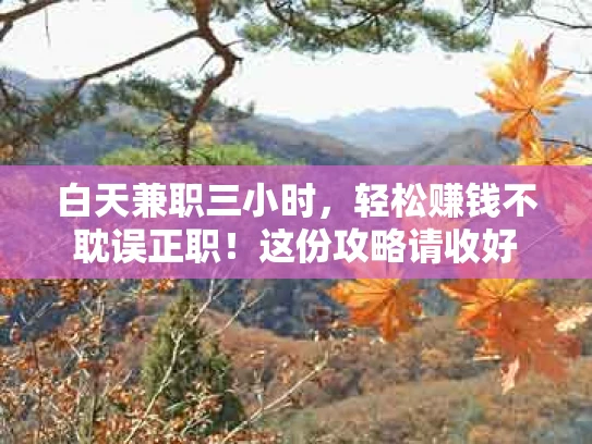 白天兼职三小时，轻松赚钱不耽误正职！这份攻略请收好