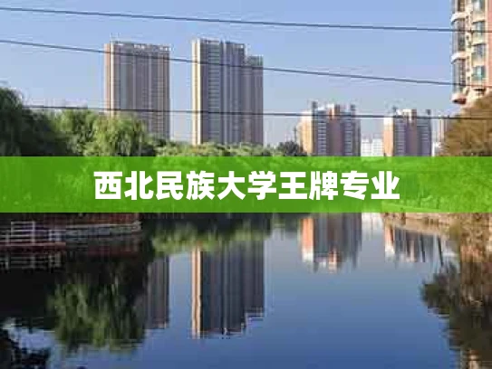 西北民族大学王牌专业