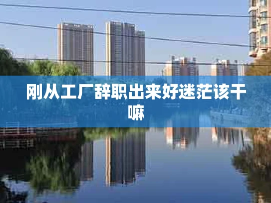 刚从工厂辞职出来好迷茫该干嘛