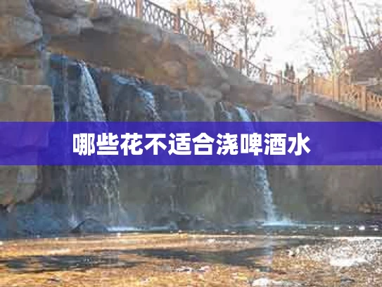 哪些花不适合浇啤酒水