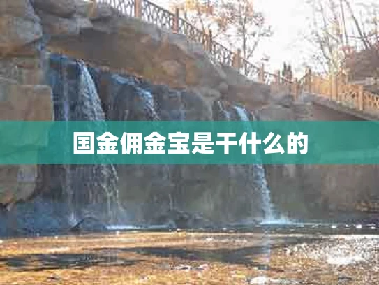 国金佣金宝是干什么的