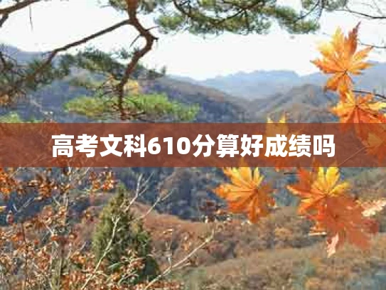 高考文科610分算好成绩吗