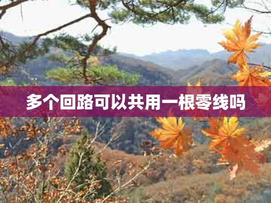 多个回路可以共用一根零线吗