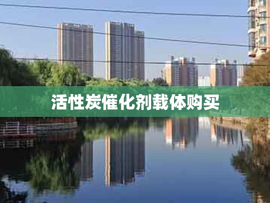 活性炭催化剂载体购买