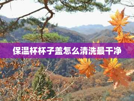 保温杯杯子盖怎么清洗最干净