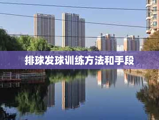 排球发球训练方法和手段