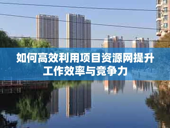 如何高效利用项目资源网提升工作效率与竞争力