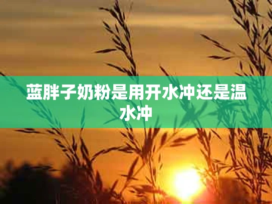 蓝胖子奶粉是用开水冲还是温水冲