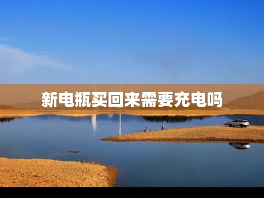新电瓶买回来需要充电吗