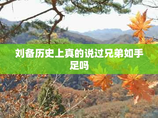 刘备历史上真的说过兄弟如手足吗