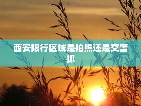 西安限行区域是拍照还是交警抓