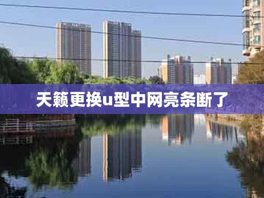 天籁更换u型中网亮条断了