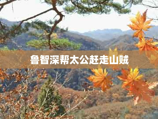 鲁智深帮太公赶走山贼