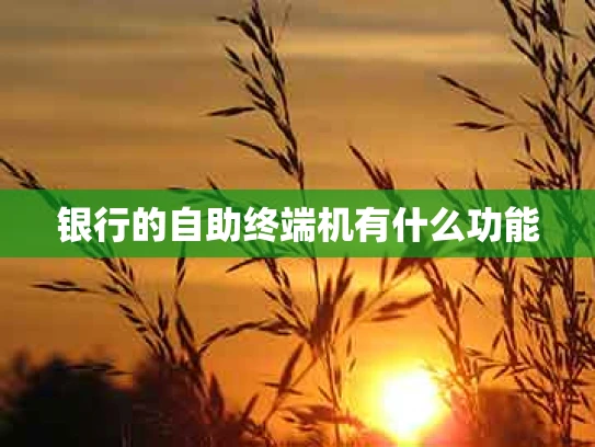 银行的自助终端机有什么功能