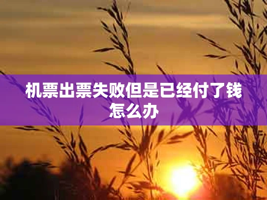 机票出票失败但是已经付了钱怎么办