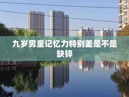 九岁男童记忆力特别差是不是缺锌