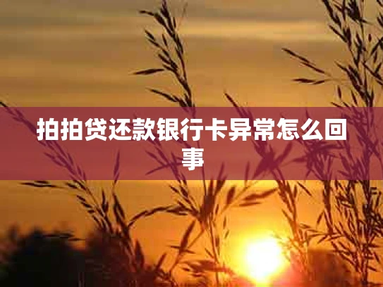 拍拍贷还款银行卡异常怎么回事