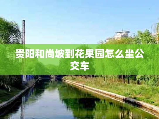 贵阳和尚坡到花果园怎么坐公交车