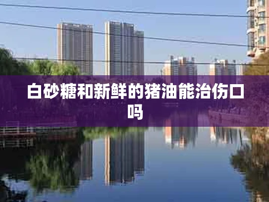 白砂糖和新鲜的猪油能治伤口吗