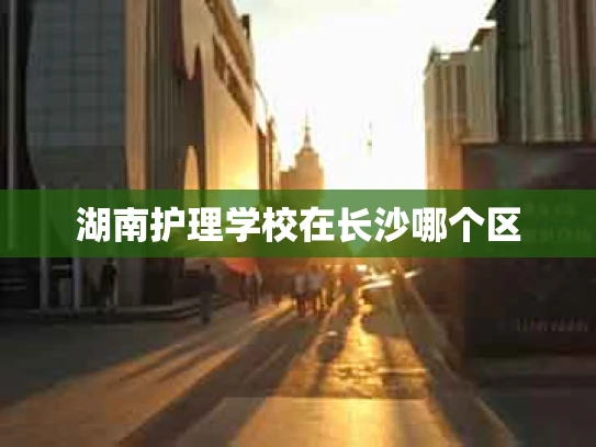 湖南护理学校在长沙哪个区