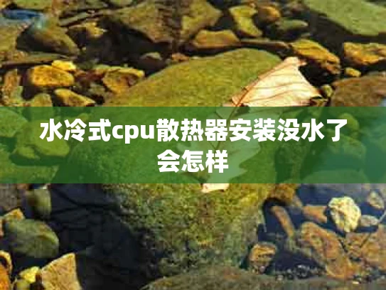 水冷式cpu散热器安装没水了会怎样