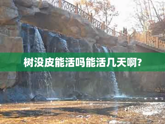 树没皮能活吗能活几天啊?