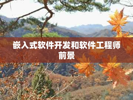 嵌入式软件开发和软件工程师前景