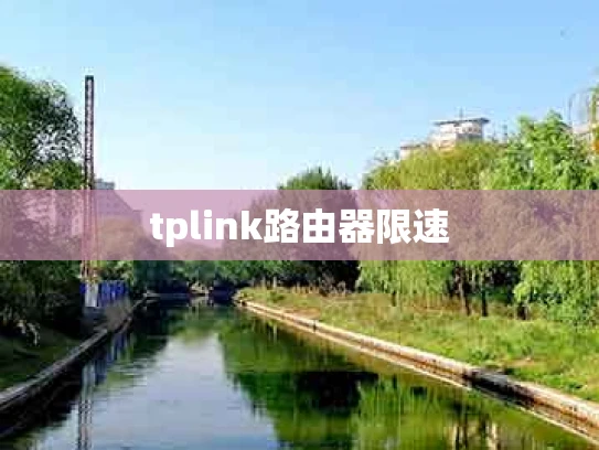 tplink路由器限速