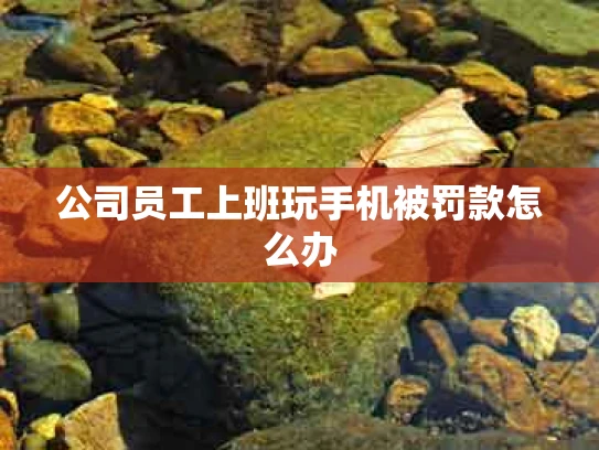 公司员工上班玩手机被罚款怎么办