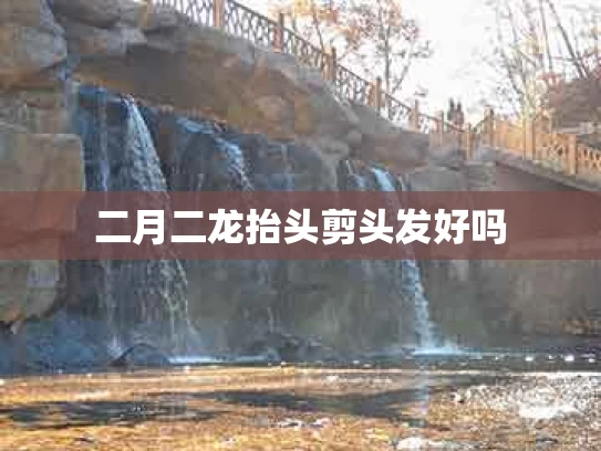二月二龙抬头剪头发好吗