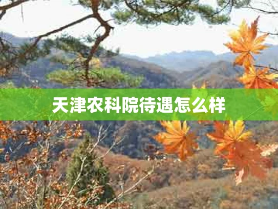 天津农科院待遇怎么样