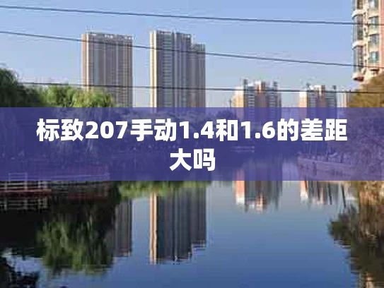 标致207手动1.4和1.6的差距大吗