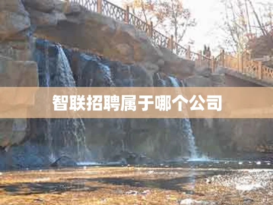智联招聘属于哪个公司