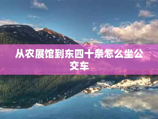 从农展馆到东四十条怎么坐公交车