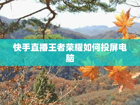 快手直播王者荣耀如何投屏电脑