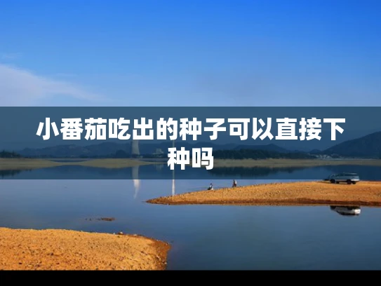 小番茄吃出的种子可以直接下种吗