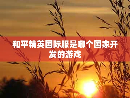 和平精英国际服是哪个国家开发的游戏