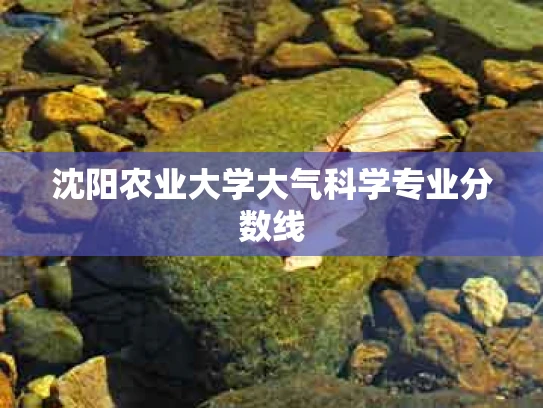沈阳农业大学大气科学专业分数线