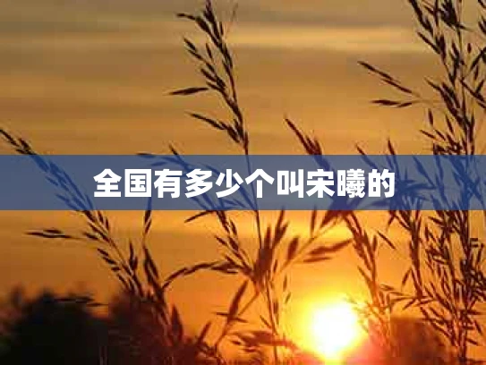 全国有多少个叫宋曦的