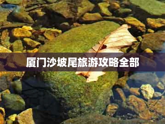 厦门沙坡尾旅游攻略全部