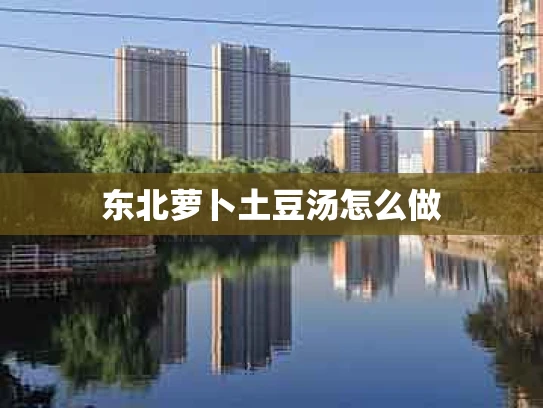 东北萝卜土豆汤怎么做