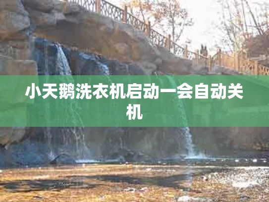 小天鹅洗衣机启动一会自动关机