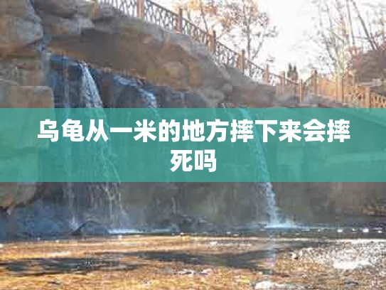 乌龟从一米的地方摔下来会摔死吗