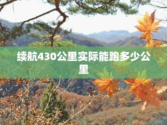 续航430公里实际能跑多少公里